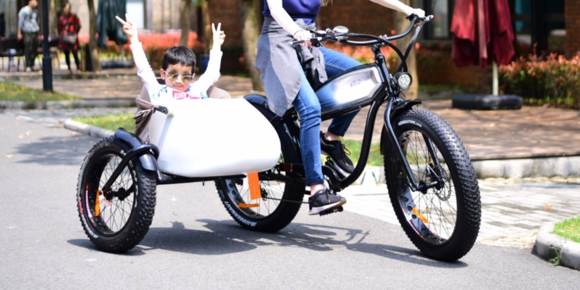 electric bicycle sidecars