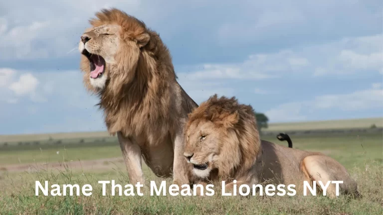 name that means lioness nyt