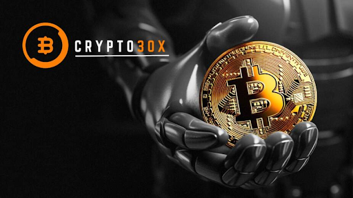 crypto30x.com gigachad